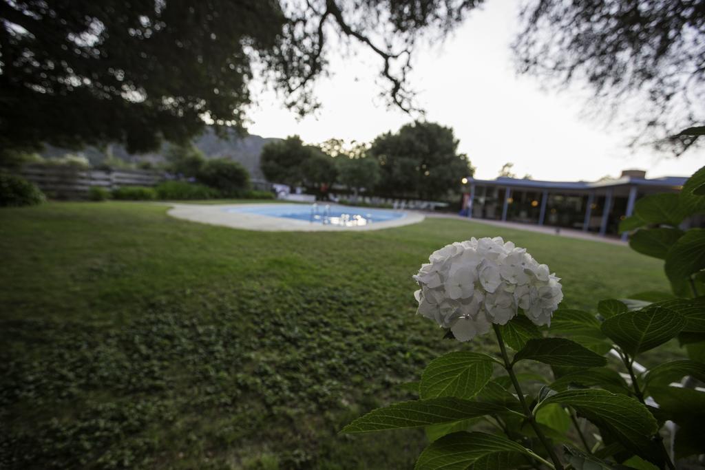 The Blue Sky Lodge Carmel Valley Exterior foto